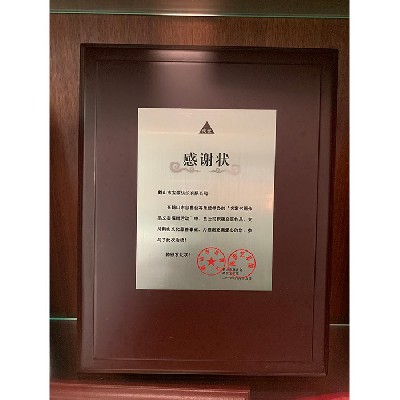 名家書(shū)畫(huà)作品義賣捐贈(zèng)活動(dòng)感謝狀